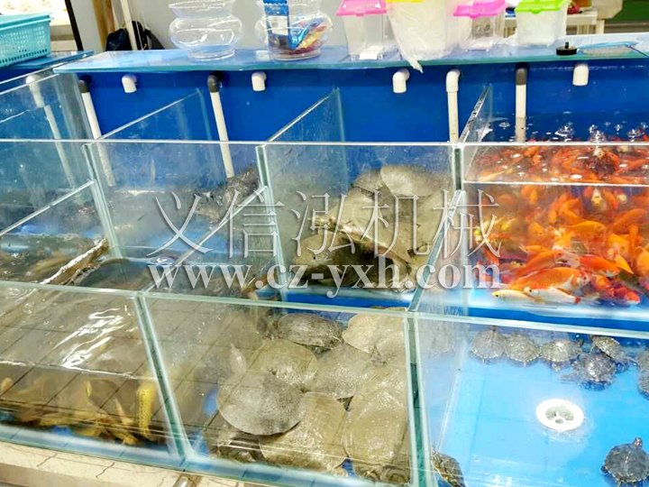Supermarket fish tank