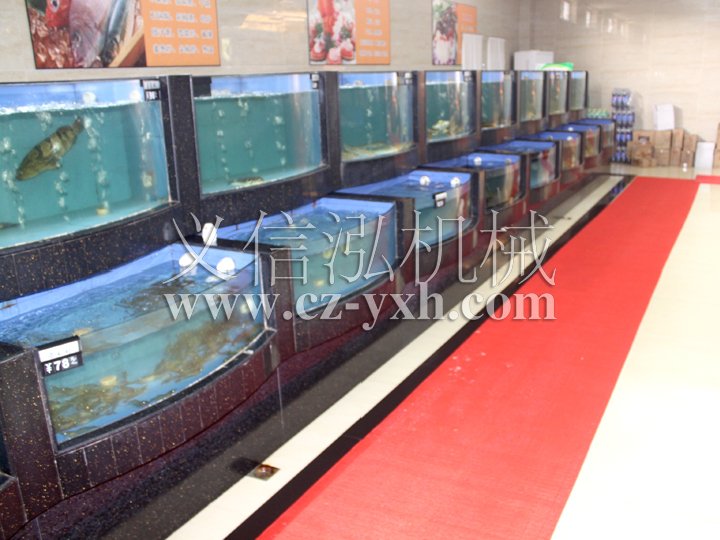 Hotel fish tank