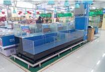 新手购买鱼缸需要考虑到哪些方面的问题