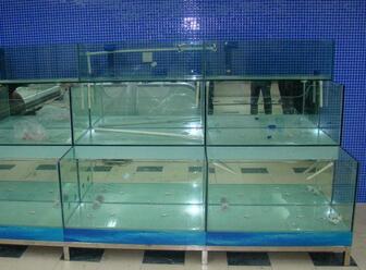 为什么选鱼缸要选择亚克力材质的玻璃