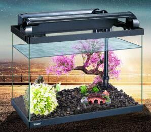 以鱼缸为例讲解冬天养鱼如何换水