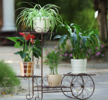 铁艺花架保养小贴士