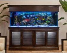 根据不同的鱼缸需使用不同的照明系统