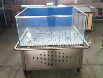 如何挑选合适大小的鱼缸